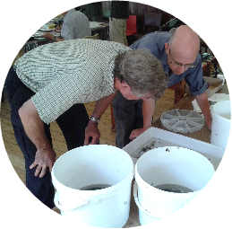 Volunteers being trained in Riverfly Monitoring