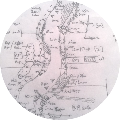 River Corridor Survey