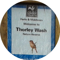Thorley Wash Nature Reserve